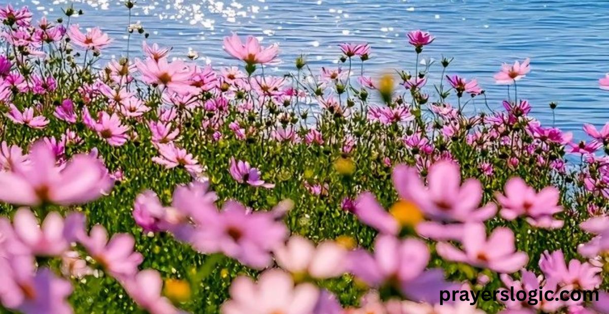 caption-about-flower