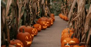 pumpkin-patch-instagram-captions