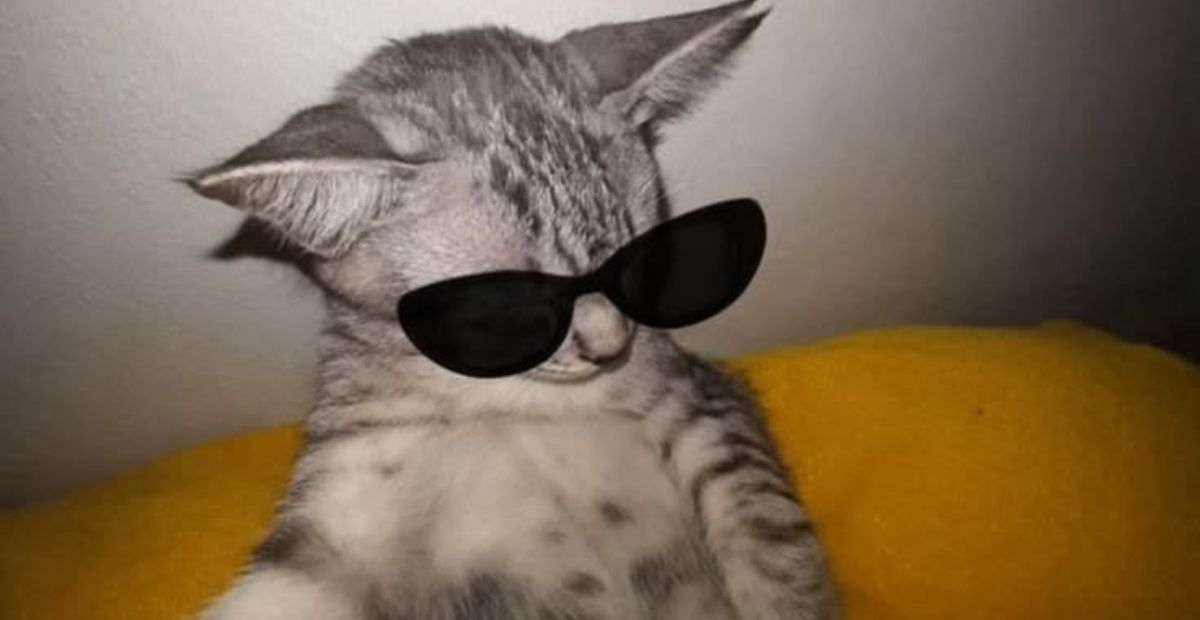 funny-captions