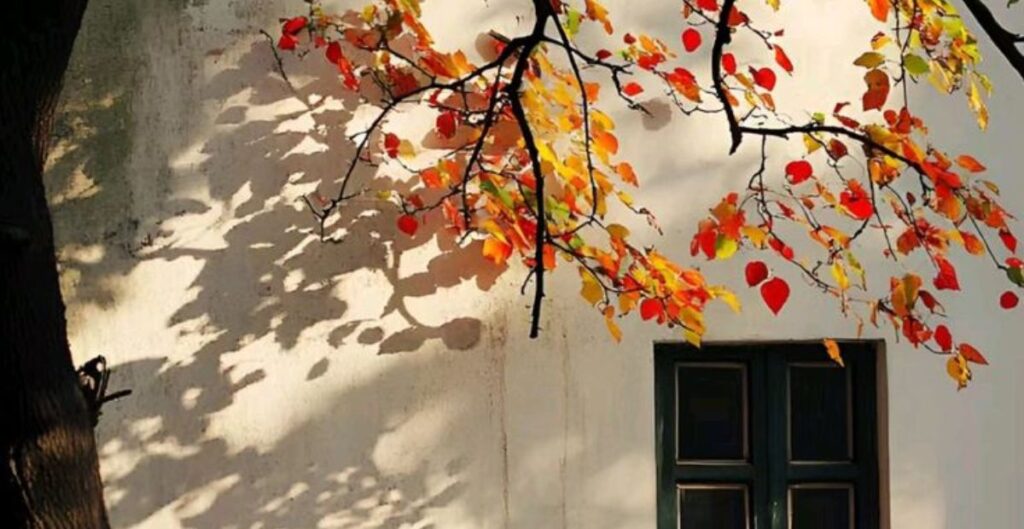 captions-for-nature-.beauty